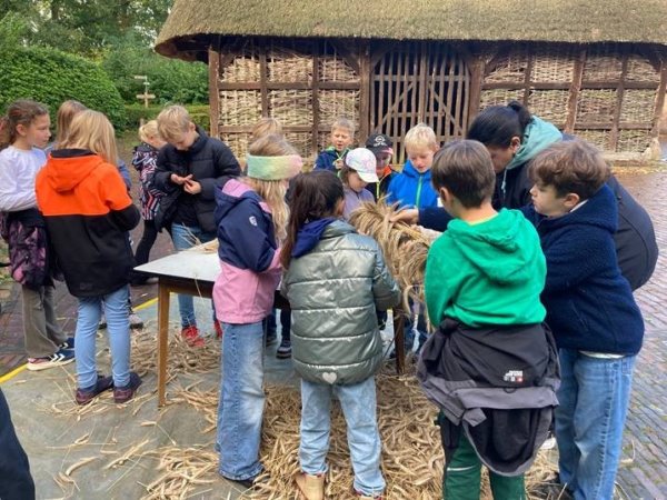 Wissenswertes über Getreide